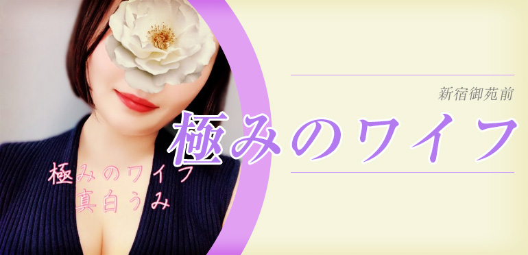 極みのワイフ